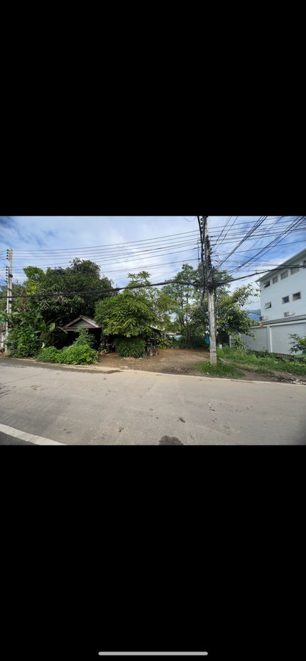 รูป ขายที่ดินเปล่า 60 ตารางวา ในเขตเทศบาลตำบลสุเทพ อ.เมือง จ.เชียงใหม่ - รูปที่ 1/5