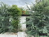 listing thumbnail image 34