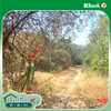 listing thumbnail image 21