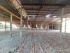listing thumbnail image 44