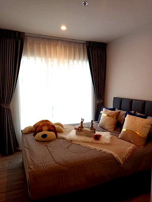 คอนโดให้เช่า : ให้เช่า คอนโด Regent Home Bangna