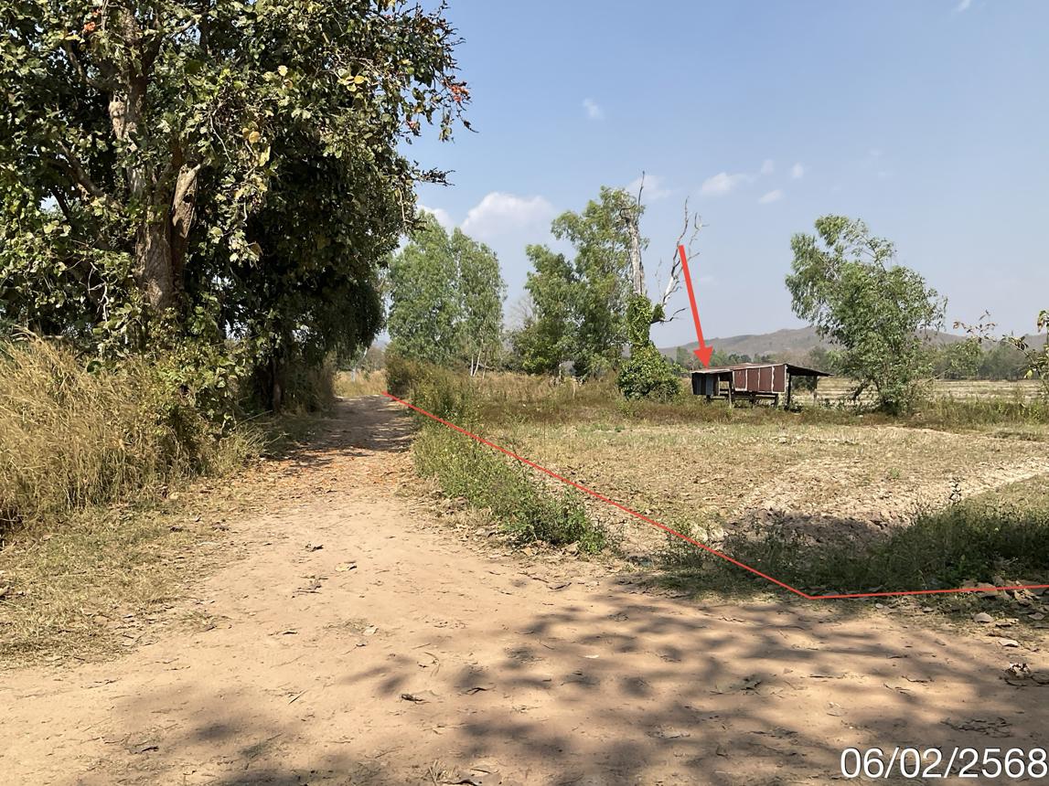 picture LAND for sale  Dong Chen Phu Kam Yao Phayao - 9/18