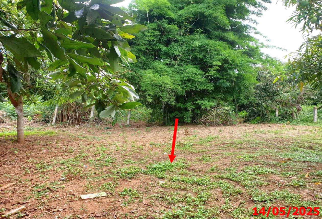 รูป บ้านเดี่ยว สำหรับขาย - ป่าไผ่ ลี้ ลำพูน - รูปที่ 20/28