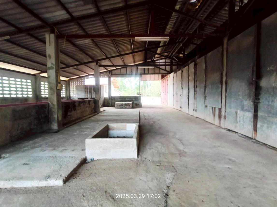 รูป บ้านเดี่ยว สำหรับขาย - ห้วยน้ำขาว คลองท่อม กระบี่ - รูปที่ 42/48