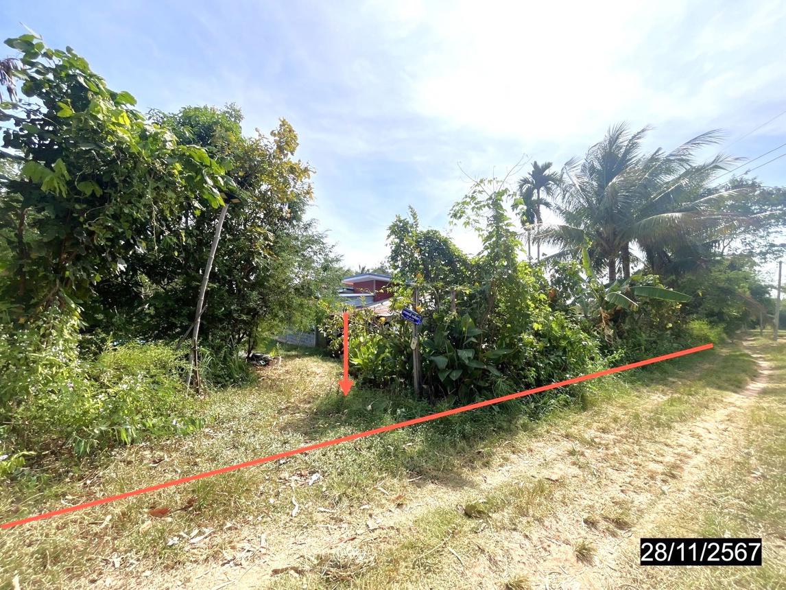 รูป บ้านเดี่ยว สำหรับขาย - ดงใหญ่ วาปีปทุม มหาสารคาม - รูปที่ 17/24