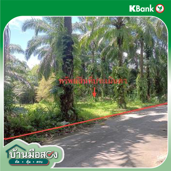 picture LAND for sale  Wang Maprang Nua Wang Wiset Trang - 16/18