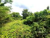 listing thumbnail image 26