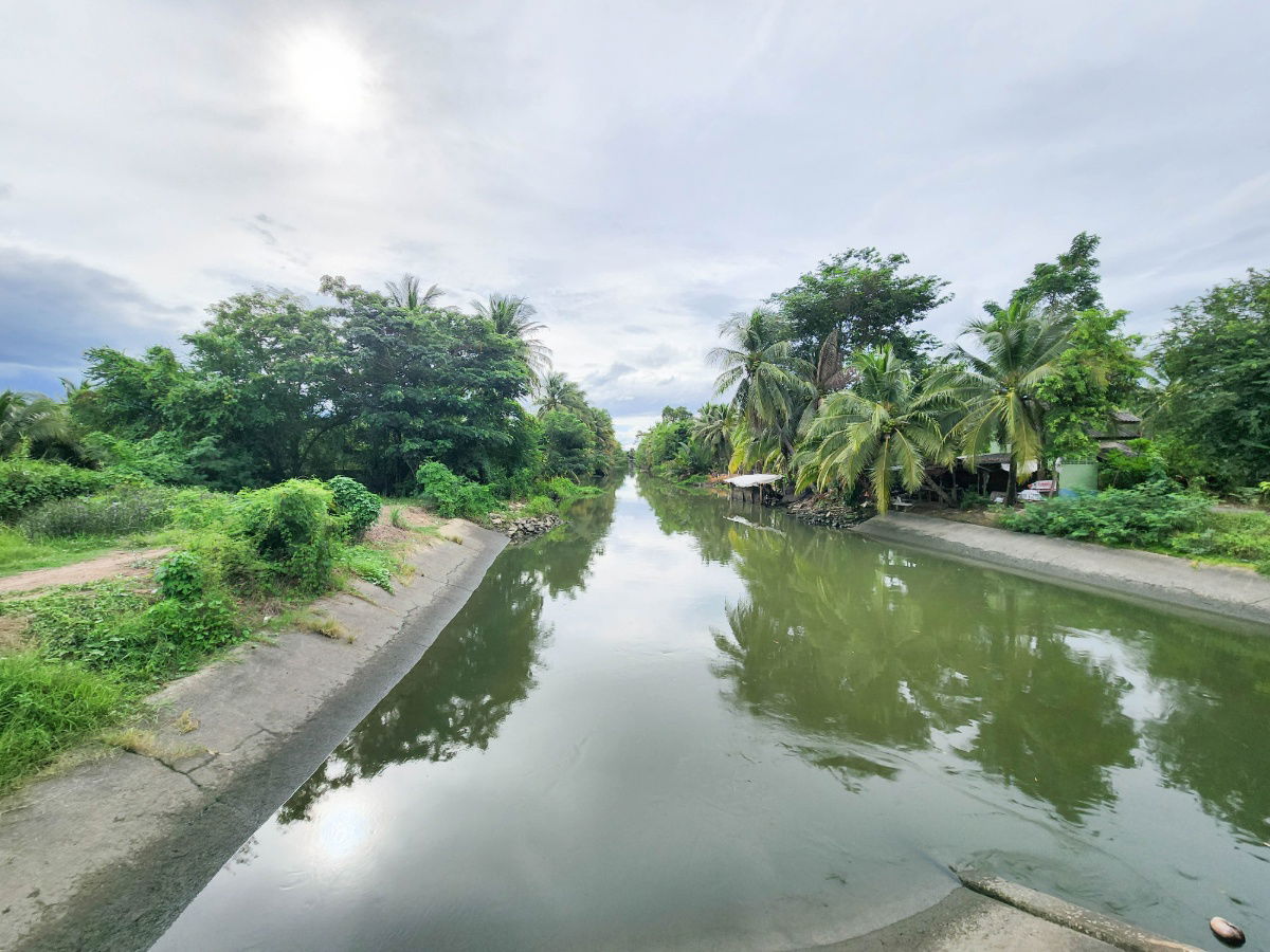 รูป ขายด่วน! ที่ดินพร้อมสวนมะพร้าวบ้านแพ้วกว่า 8 ไร่! ราคาดี ในหนองนกไข่ กระทุ่มแบน สมุทรสาคร ผังเมืองเขียวลาย หน้ากว้าง 80 เมตร ลึก 160 เมตร  - รูปที่ 10/17
