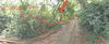 listing thumbnail image 26