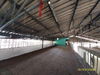 listing thumbnail image 32