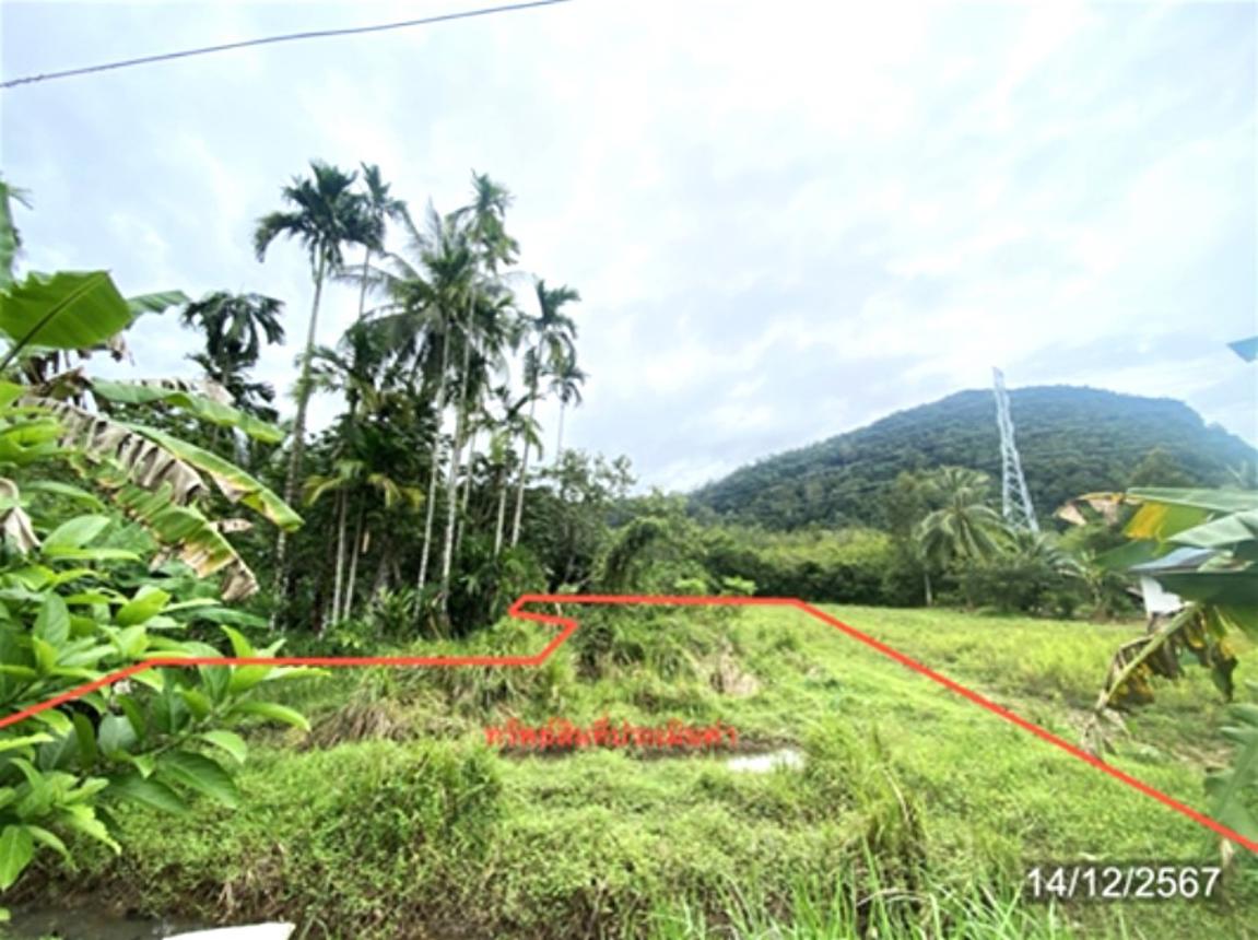 picture LAND for sale  Khuan Sato Khuan Don Satun - 13/24