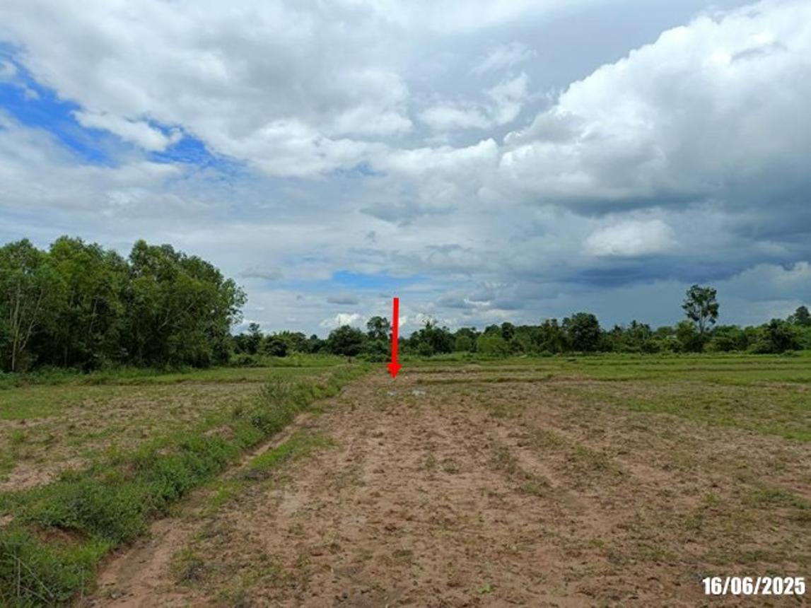 รูป ที่ดินว่างเปล่า สำหรับขาย - เมืองเพีย กุดจับ อุดรธานี - รูปที่ 15/20