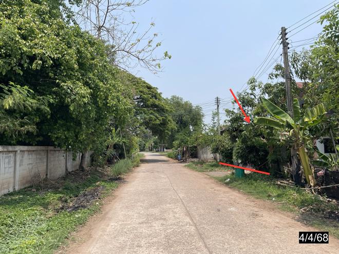 รูป บ้านเดี่ยว สำหรับขาย - หนองตูม ภูเขียว ชัยภูมิ - รูปที่ 6/16