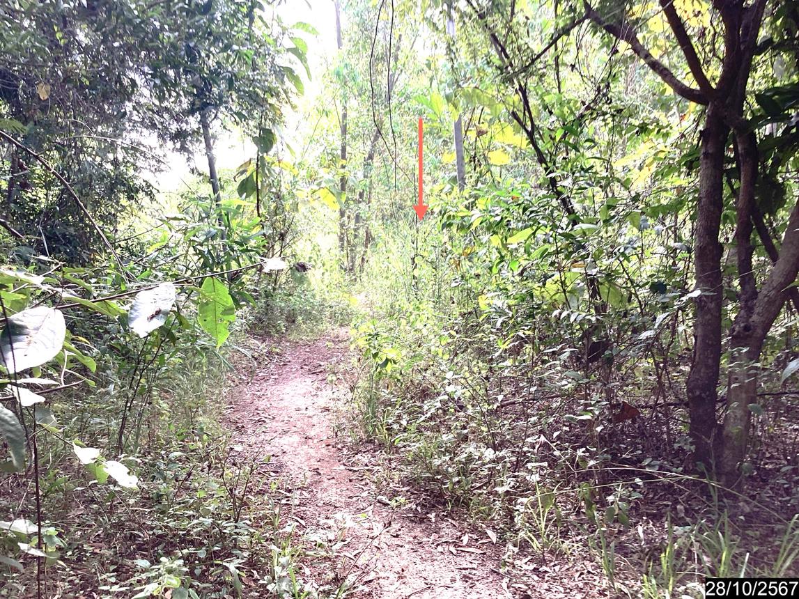 picture LAND for sale  Song Hong Muang Nong Khai Nongkai - 16/28