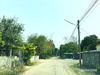 listing thumbnail image 19
