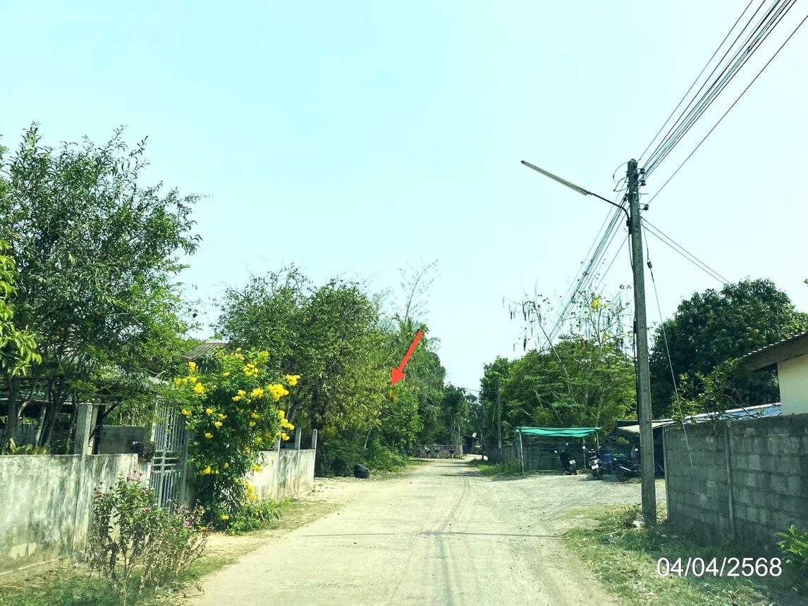 รูป ที่ดินว่างเปล่า สำหรับขาย - หนองใหญ่ โพนทอง ร้อยเอ็ด - รูปที่ 20/24