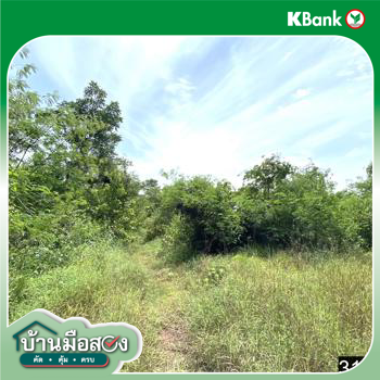 รูป ที่ดินว่างเปล่า สำหรับขาย - เชียงหวาง เพ็ญ อุดรธานี - รูปที่ 16/18
