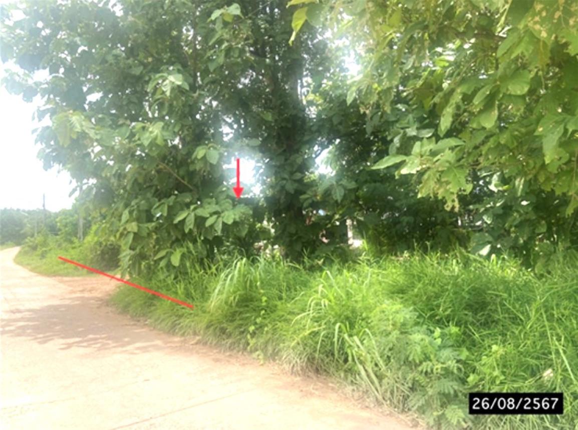 รูป บ้านเดี่ยว สำหรับขาย - วังสามหมอ วังสามหมอ อุดรธานี - รูปที่ 10/14