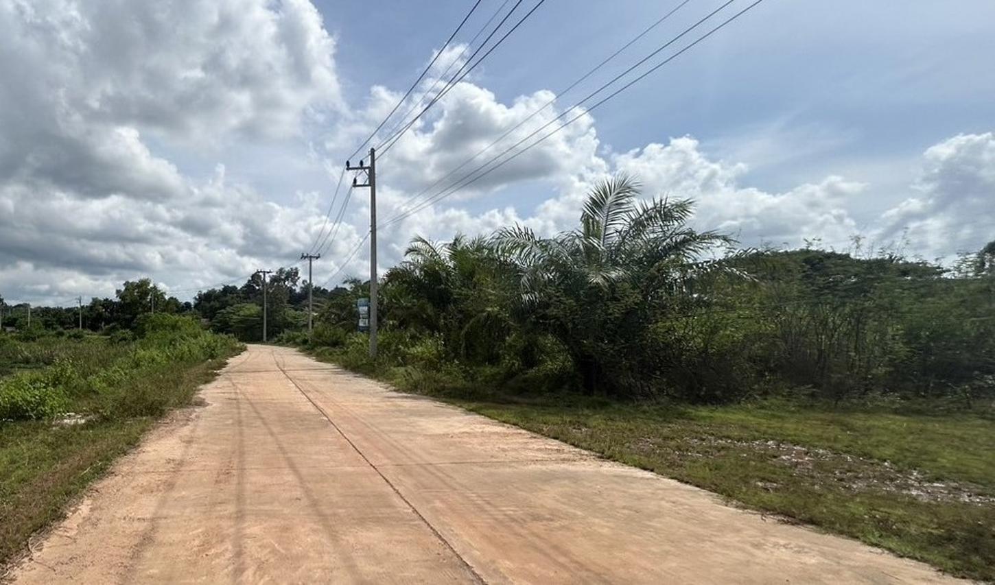 picture LAND for sale  Nong Yat Muang Nakhon Phanom Nakhon Phanom - 7/12
