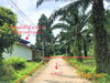 listing thumbnail image 12