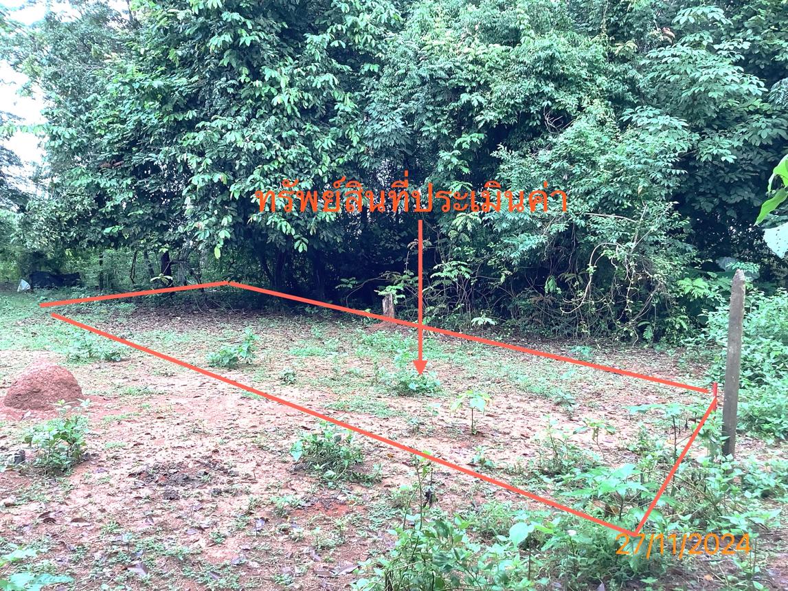 รูป ที่ดินว่างเปล่า สำหรับขาย - ทับเที่ยง เมืองตรัง ตรัง - รูปที่ 11/18
