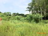listing thumbnail image 27