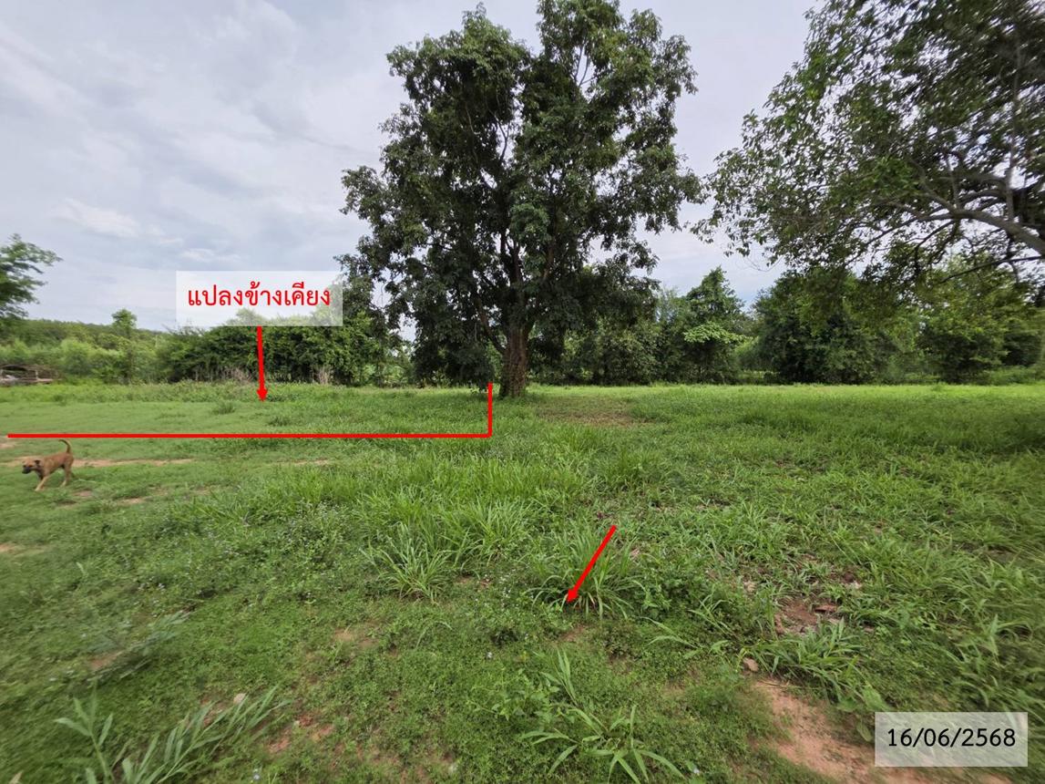 รูป ที่ดินว่างเปล่า สำหรับขาย - ปลาโหล วาริชภูมิ สกลนคร - รูปที่ 15/24