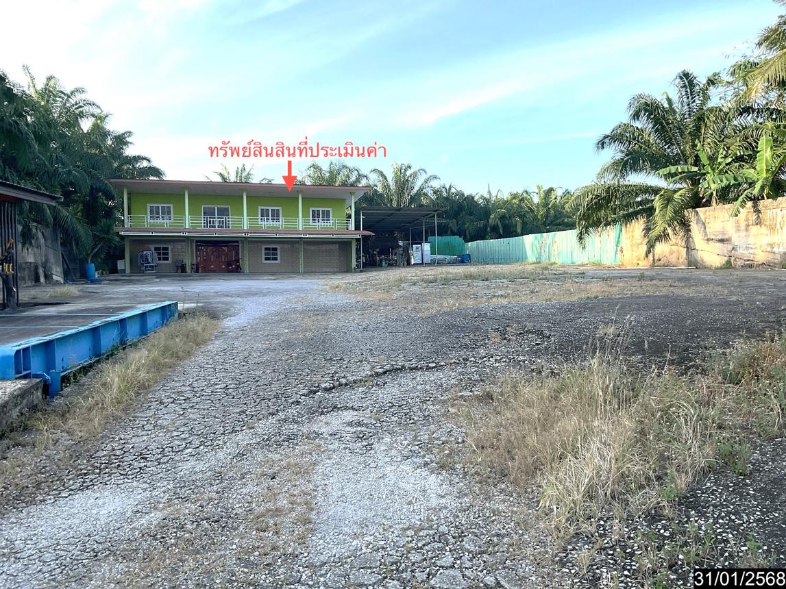 รูป บ้านเดี่ยว สำหรับขาย - วังมะปรางเหนือ วังวิเศษ ตรัง - รูปที่ 19/24