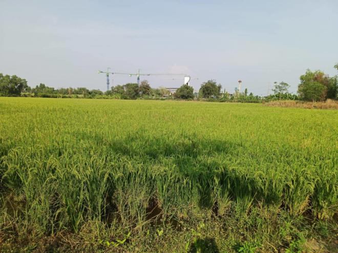 รูป ที่ดินว่างเปล่า สำหรับขาย  เชียงรากน้อย บางไทร พระนครศรีอยุธยา - รูปที่ 1/10