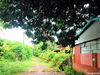 listing thumbnail image 37