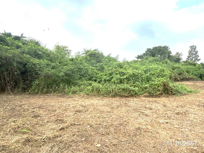 รูป บ้านเดี่ยว สำหรับขาย - ท่าช้าง พรหมพิราม พิษณุโลก - รูปที่ 15/38