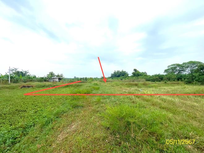 picture HOME for sale  Ang Hin Pak Tho Ratchburi - 8/20