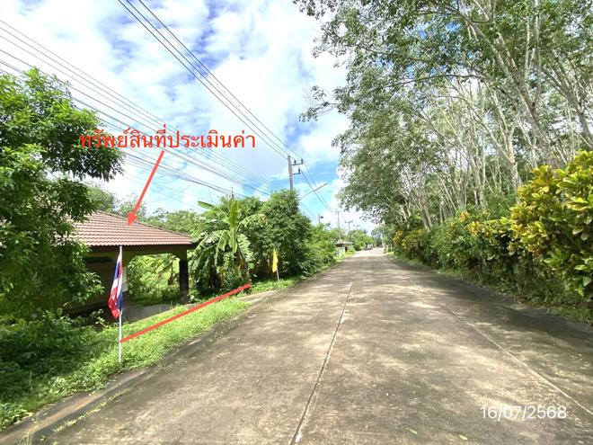 รูป บ้านเดี่ยว สำหรับขาย - ท่าข้าม ปะเหลียน ตรัง - รูปที่ 11/30