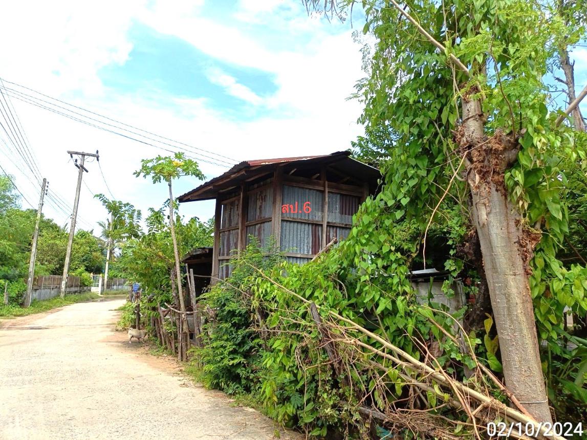 รูป บ้านเดี่ยว สำหรับขาย - แคน วาปีปทุม มหาสารคาม - รูปที่ 20/26