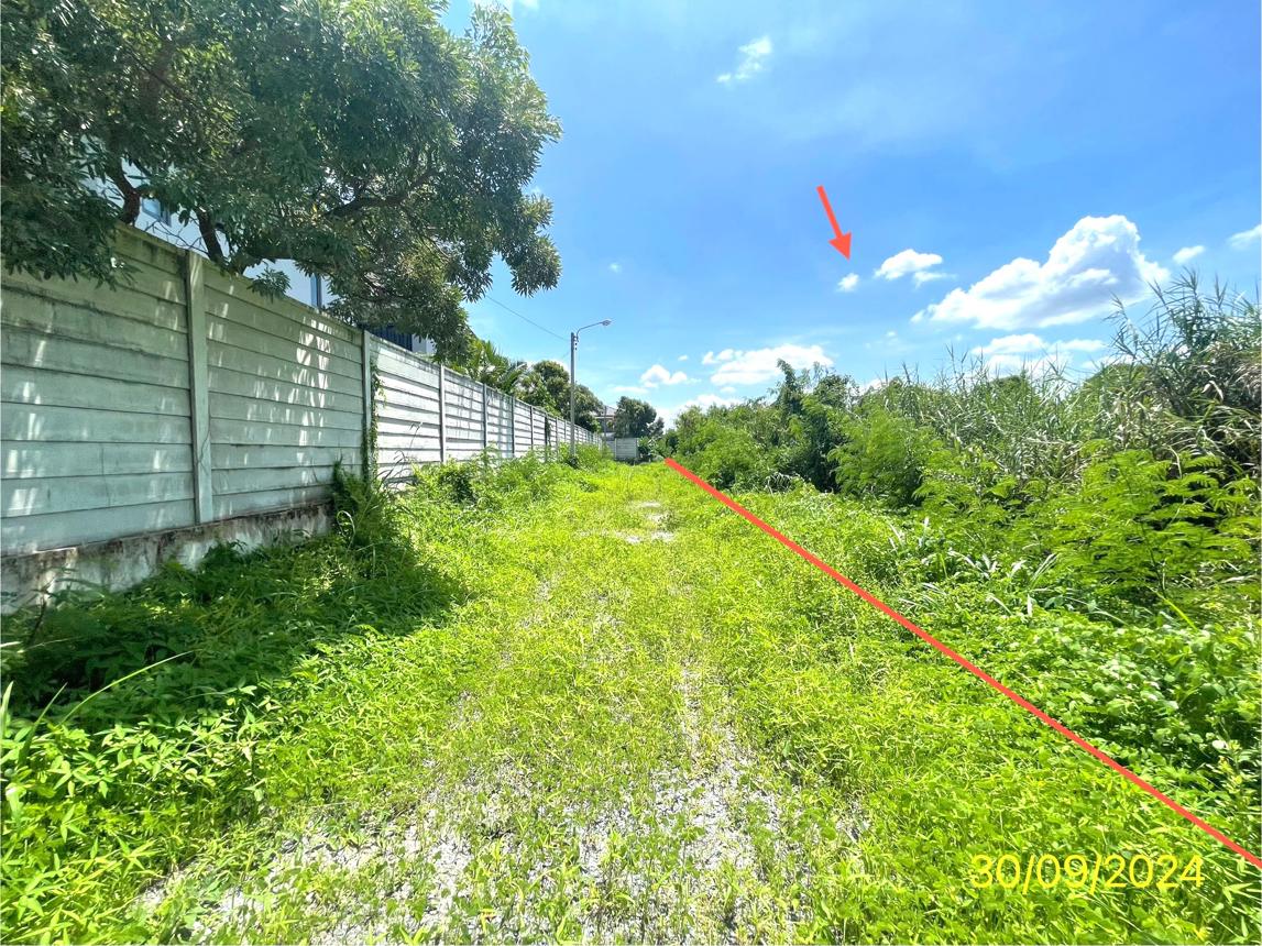 picture LAND for sale  Sai Ma Muang Nonthaburi Nonthaburi - 10/14