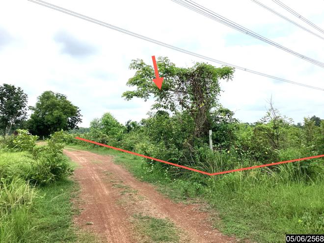 รูป ที่ดินว่างเปล่า สำหรับขาย - สามพร้าว เมืองอุดรธานี อุดรธานี - รูปที่ 2/18