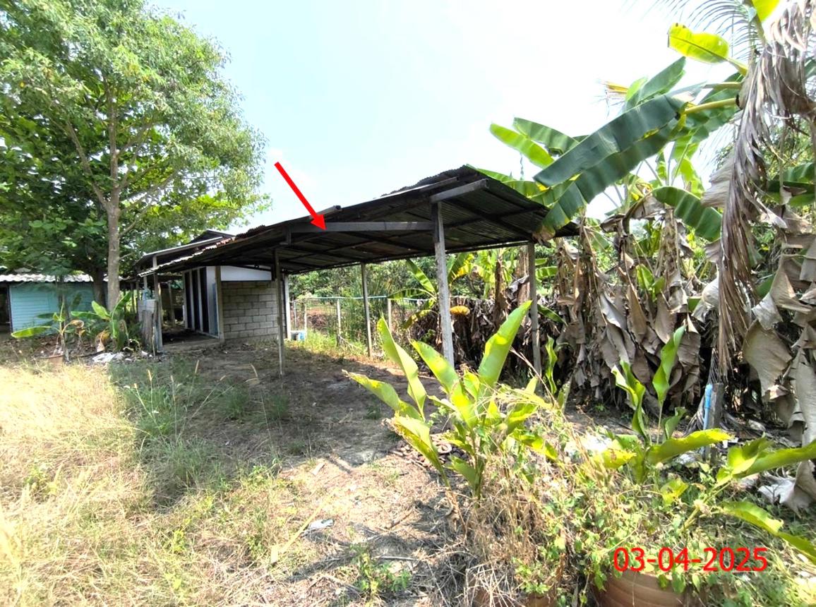 รูป บ้านเดี่ยว สำหรับขาย - อุโมงค์ เมืองลำพูน ลำพูน - รูปที่ 39/48