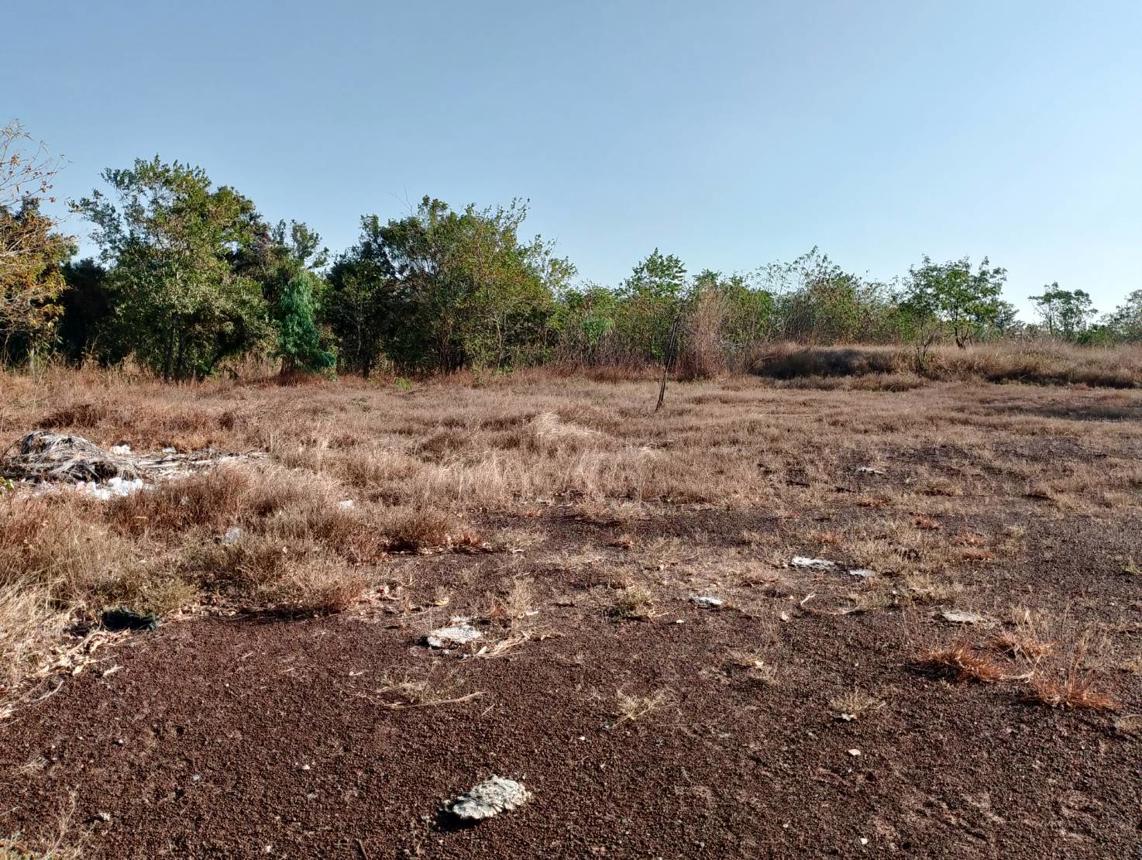 picture LAND for sale  Nong Phu Chaturaphak Phiman Roi Et - 10/18