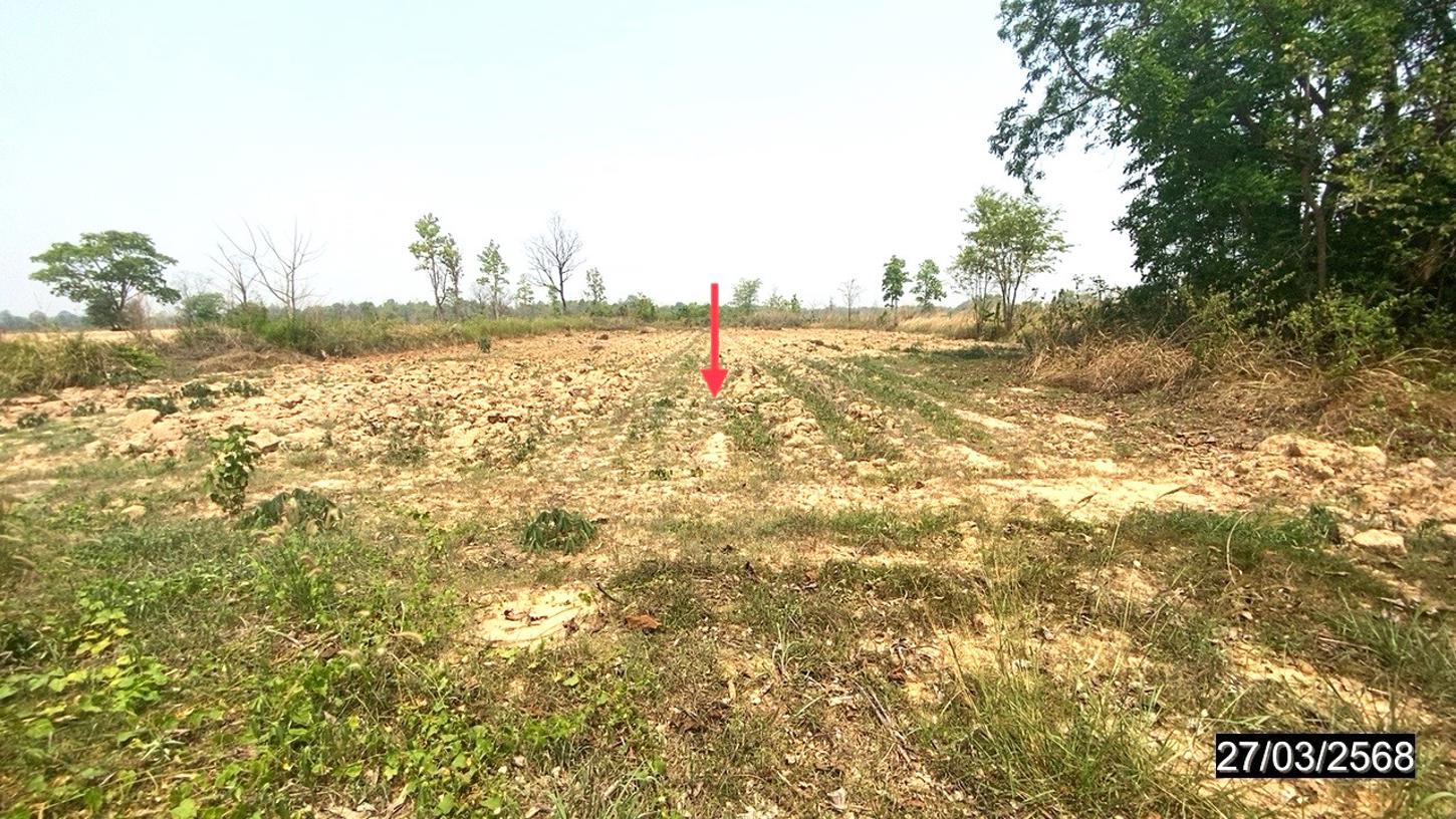 รูป บ้านเดี่ยว สำหรับขาย - หายโศก บ้านผือ อุดรธานี - รูปที่ 25/30