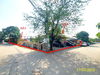 listing thumbnail image 25