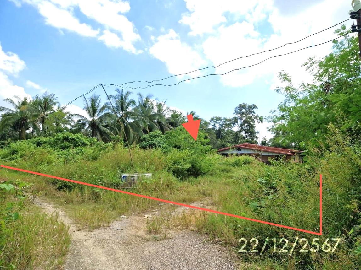 รูป บ้านเดี่ยว สำหรับขาย - นาตาล่วง เมืองตรัง ตรัง - รูปที่ 19/24