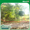 listing thumbnail image 17
