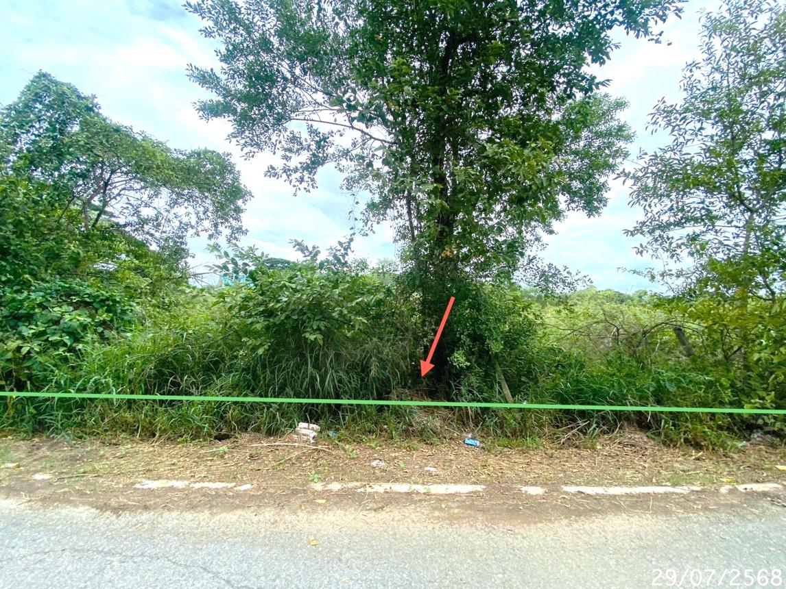 picture LAND for sale  Khlong Sra Bua Phra Nakhon Sri Ayutthaya Phra Nakhon Sri Ayutthaya - 20/26