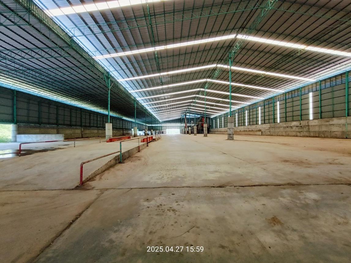 รูป โกดัง สำหรับขาย - เพชรละคร หนองไผ่ เพชรบูรณ์ - รูปที่ 35/58