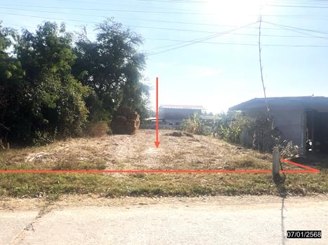 picture LAND for sale  Kham Yai Huai Mek Kalasin - 17/20