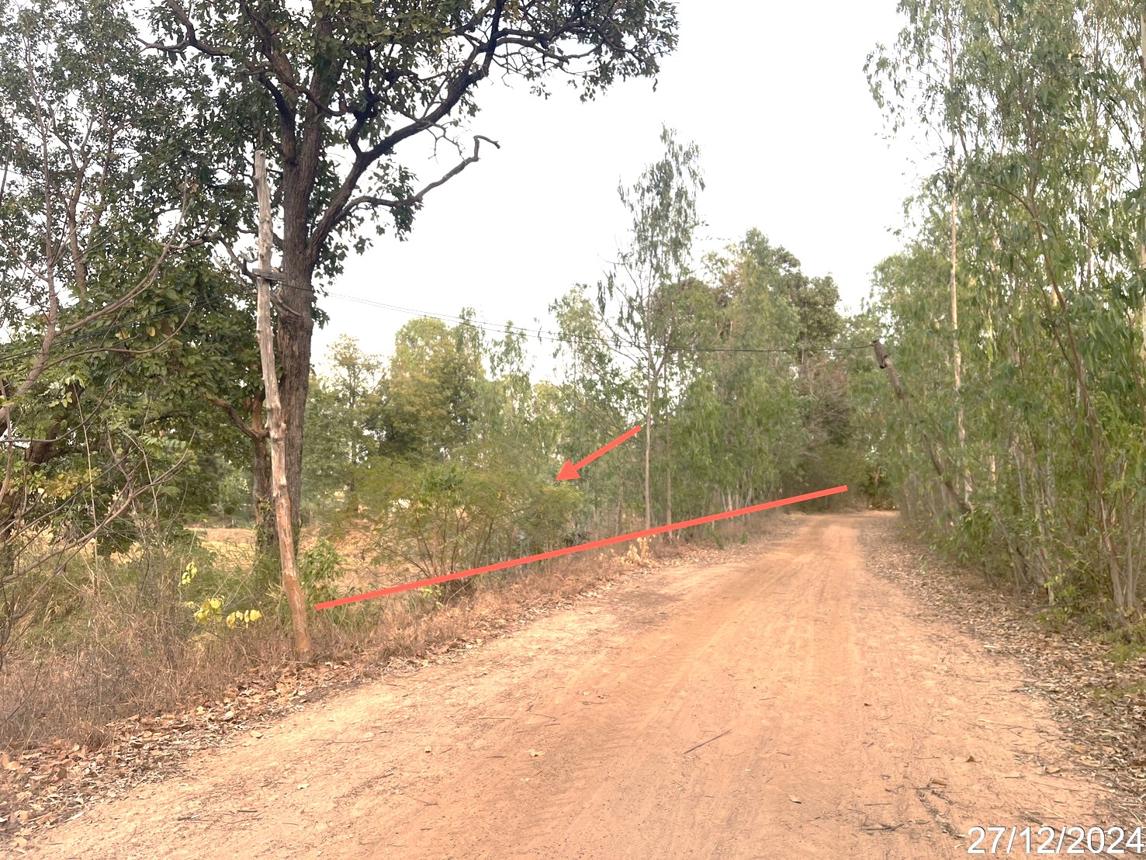 picture LAND for sale  Muang Hong Chaturaphak Phiman Roi Et - 11/18