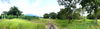 listing thumbnail image 38