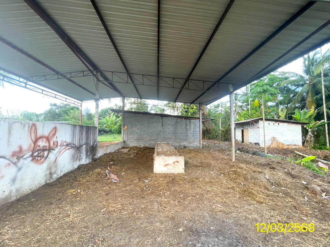 picture HOME for sale  Khok Muang Khao Chaison Phatthalung - 30/40