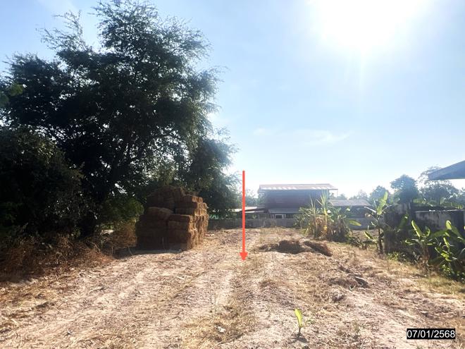 picture LAND for sale  Kham Yai Huai Mek Kalasin - 2/20