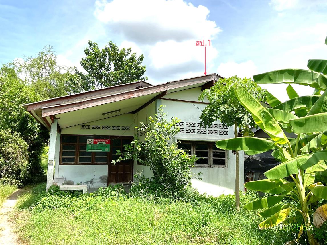 รูป บ้านเดี่ยว สำหรับขาย - ดอนทราย โพธาราม ราชบุรี - รูปที่ 11/24